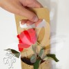 IMG_20160125_093008